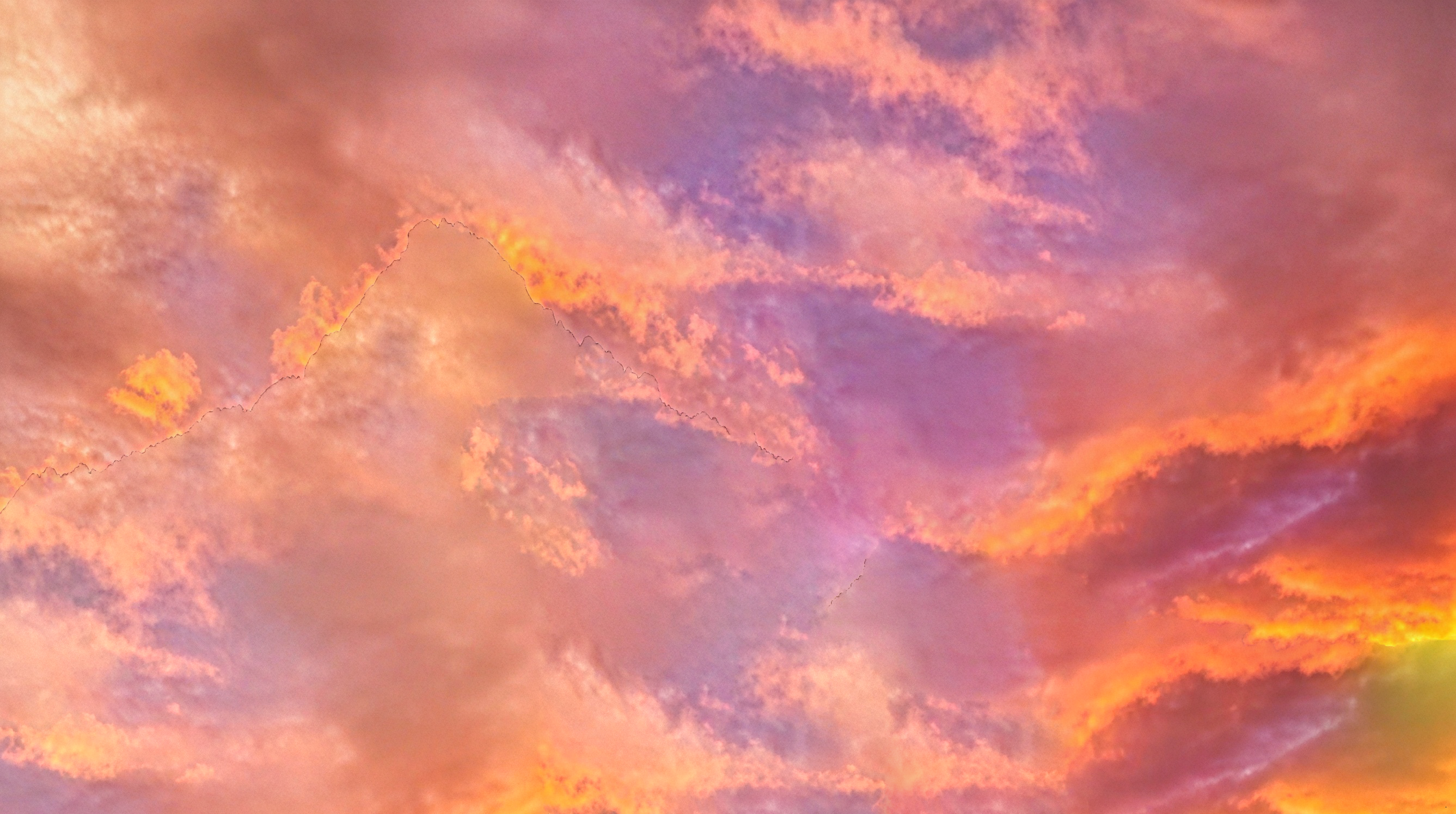 Ember Hill Poodles background